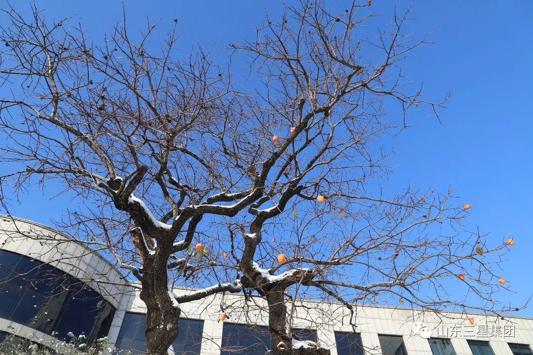 這樣的三星，你愛了嗎?