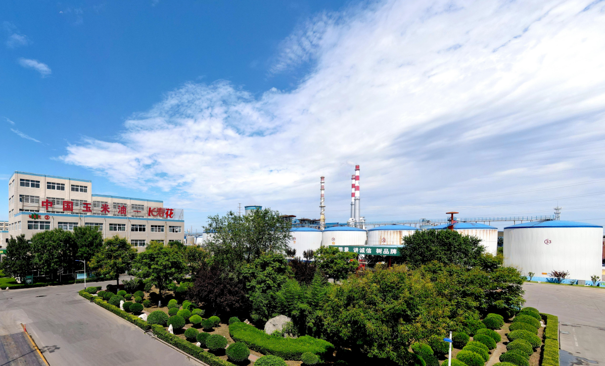 喜訊！長壽花食品獲評2022年度“最具品牌影響力”企業(yè)