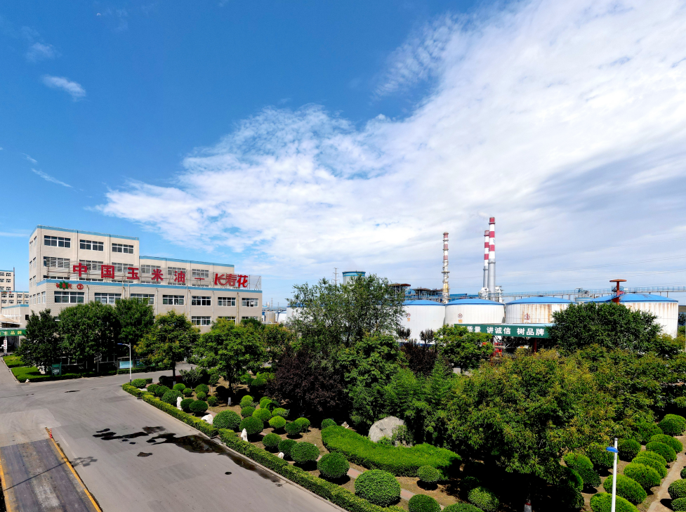 這些屬于長壽花的關(guān)鍵詞標(biāo)簽，你了解嗎