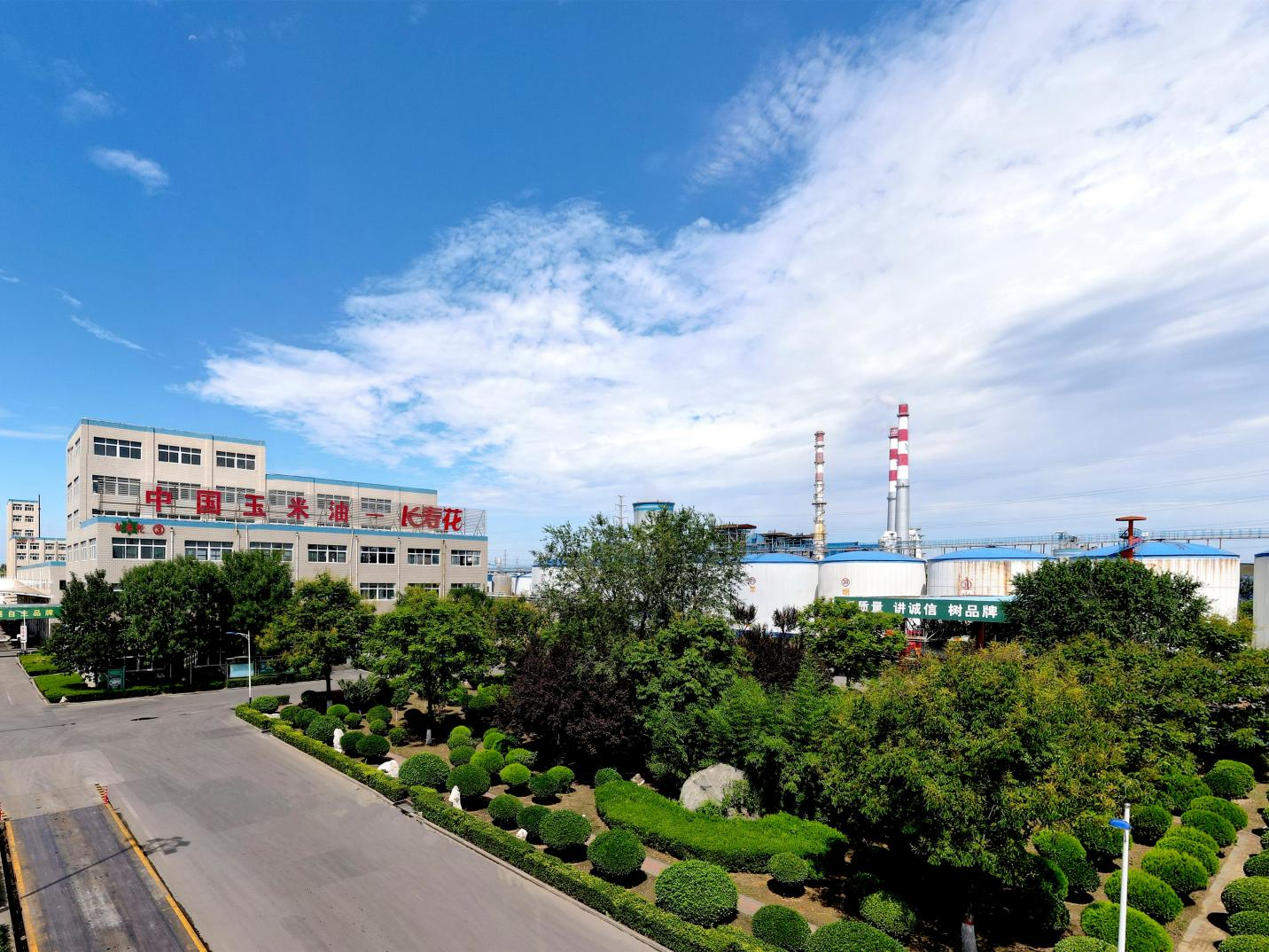 祝賀！長壽花食品榮獲中國農(nóng)業(yè)科學(xué)院杰出科技創(chuàng)新獎(jiǎng)