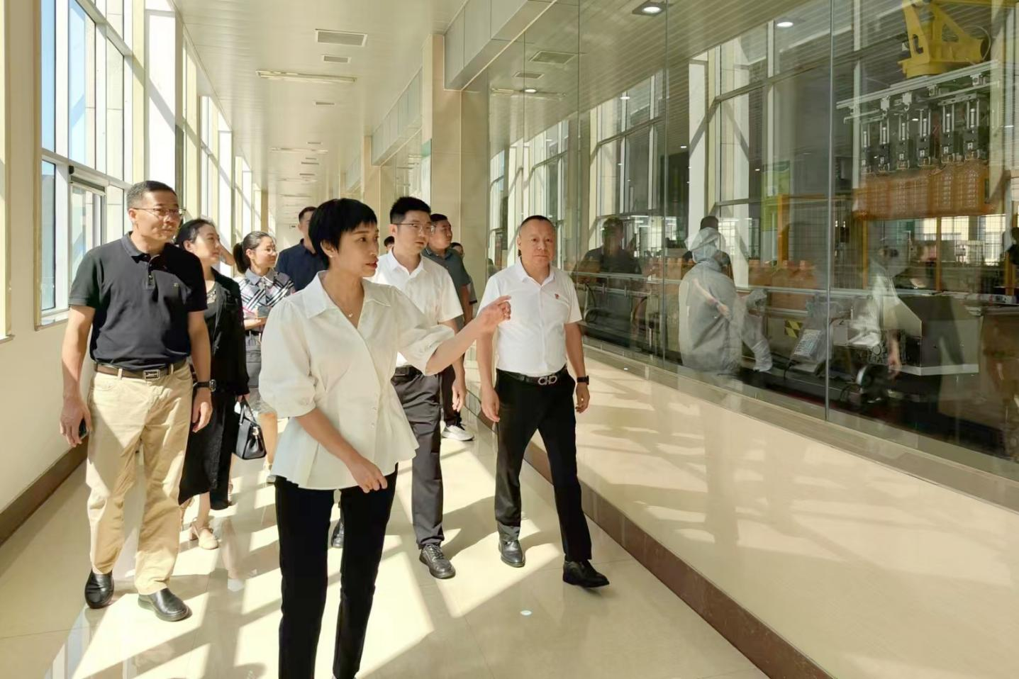 桐廬縣委副書記、縣長(zhǎng)張蕙娜到桐廬玉米產(chǎn)業(yè)公司走訪調(diào)研