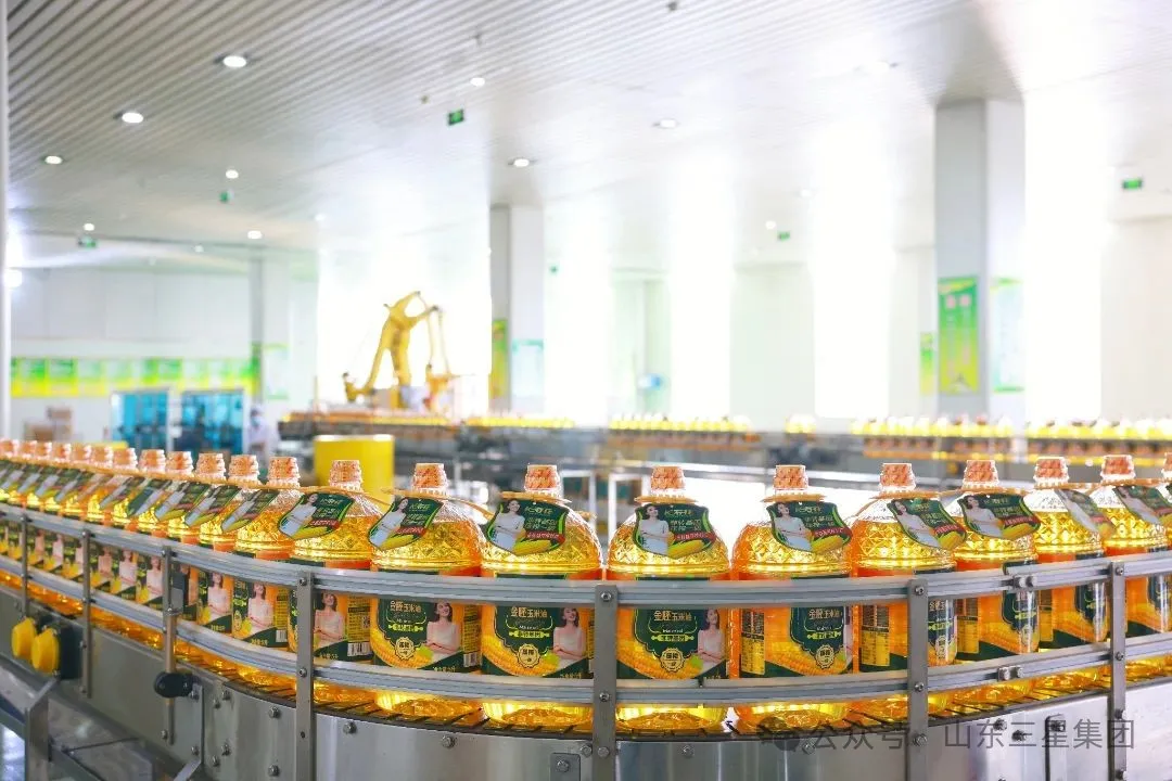 山東三星集團(tuán)六個項目入選2025年山東?。ǖ谝慌┢髽I(yè)技術(shù)創(chuàng)新項目計劃