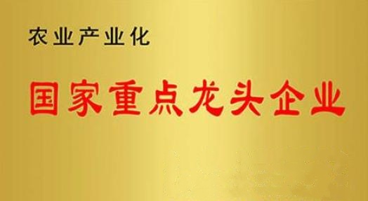 國家重點龍頭企業(yè)！山東三星集團(tuán)連續(xù)上榜
