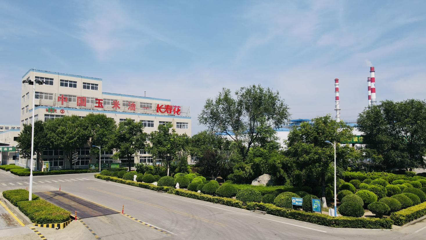 創(chuàng)新驅(qū)動(dòng) 產(chǎn)權(quán)護(hù)航｜長壽花食品通過知識產(chǎn)權(quán)管理體系監(jiān)督審核